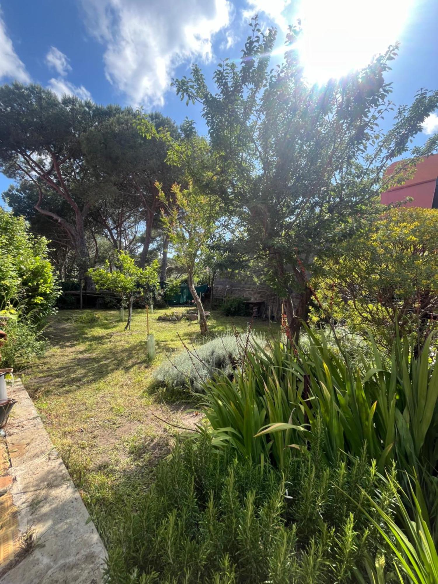 Casa Vista Castello Βίλα Capraia Εξωτερικό φωτογραφία