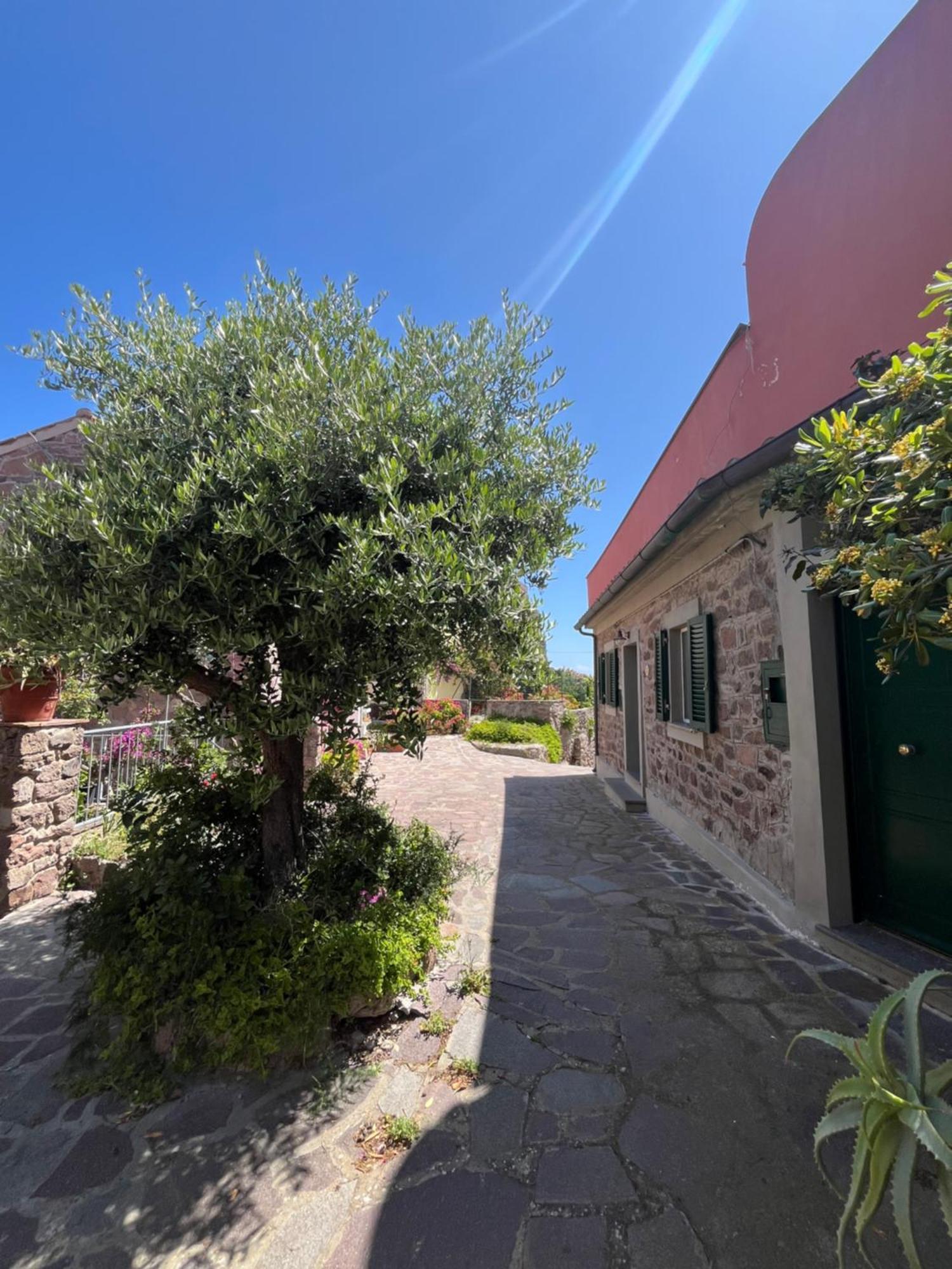 Casa Vista Castello Βίλα Capraia Εξωτερικό φωτογραφία